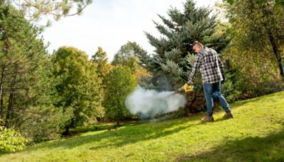 Image showing  Propane Insect Fogger