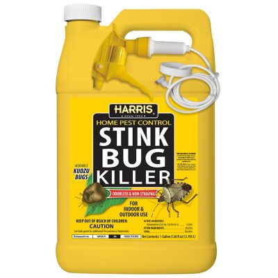 Harris Stink Bug Killer, Liquid Spray with Odorless and Non-Staining Formula (Gallon)