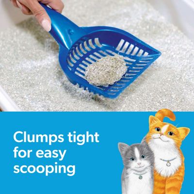 Image showing  Multi-Cat Extra Strength Scented Clumping Clay Cat Litter