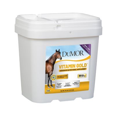 image of a Horse Vitamins & Supplements