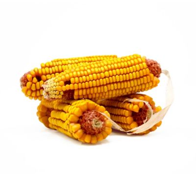Image showing  Ear Corn Squirrel Feed, 15 lb.