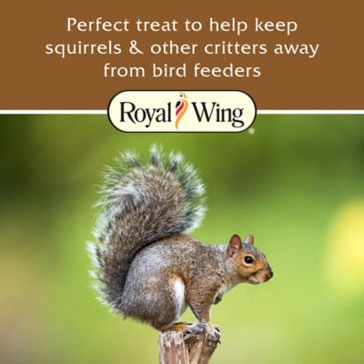 Image showing  Ear Corn Squirrel Feed, 15 lb.