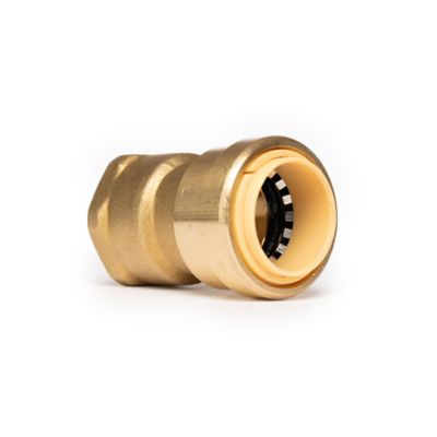 ProBite 3/4 in. Push-to-Connect x 3/4 in. FNPT Female Brass Adapter Fitting