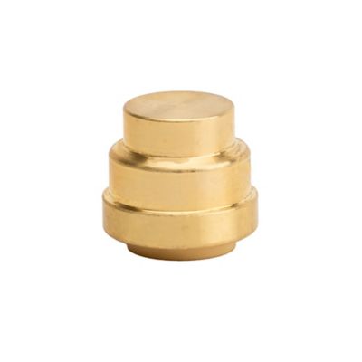 ProBite 1/2 in. Push-to-Connect Brass Push Cap (End Stop) Fitting
