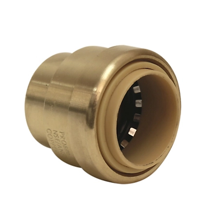 ProBite 3/4 in. Push-to-Connect Brass Push Cap (End Stop) Fitting