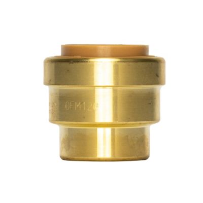 Image showing  3/4 in. Push-to-Connect Brass Push Cap (End Stop) Fitting