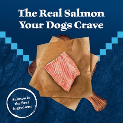 Image showing  Trail Treats High Protein Grain-Free Salmon Flavor Crunchy Dog Biscuits, 10 oz.