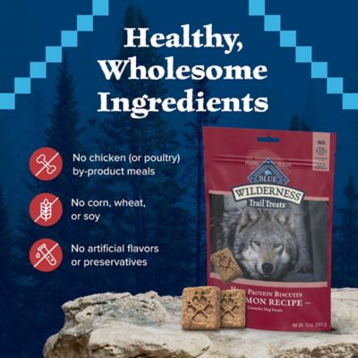 Image showing 5 th Blue Buffalo Wilderness Trail Treats High Protein Grain-Free Salmon Flavor Crunchy Dog Biscuits, 10 oz.