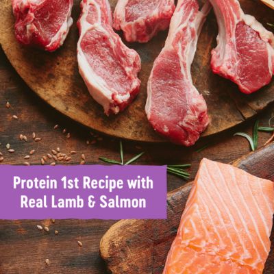 Image showing  Soft Puppy Bites Lamb and Salmon Recipe Dog Training Treats, 3 oz.