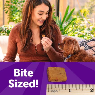 Image showing  Soft Puppy Bites Lamb and Salmon Recipe Dog Training Treats, 3 oz.