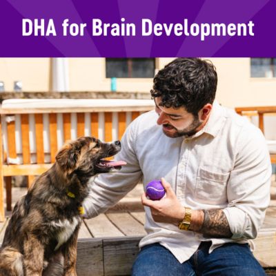 Image showing  Soft Puppy Bites Lamb and Salmon Recipe Dog Training Treats, 3 oz.