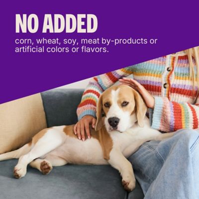 Image showing 5 th Wellness Soft Puppy Bites Lamb and Salmon Recipe Dog Training Treats, 3 oz.