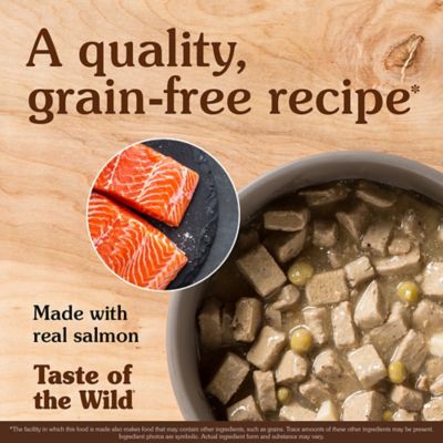 Image showing  Pacific Stream Adult Salmon in Gravy Recipe Wet Dog Food, 13.2 oz.