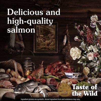 Image showing  Pacific Stream Adult Salmon in Gravy Recipe Wet Dog Food, 13.2 oz.