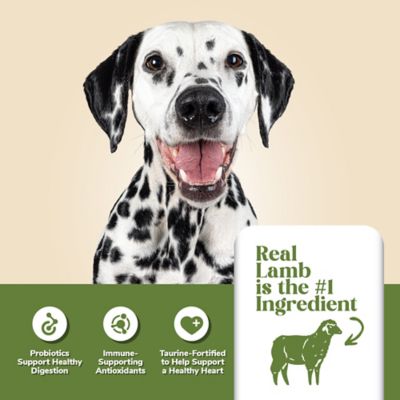 Image showing  Adult Lamb and Rice Formula Dry Dog Food