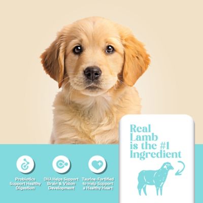 Image showing  Puppy Lamb Formula Dry Dog Food
