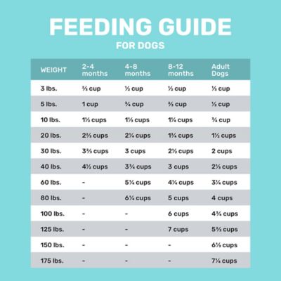 Image showing 5 th 4health with Wholesome Grains Puppy Lamb Formula Dry Dog Food