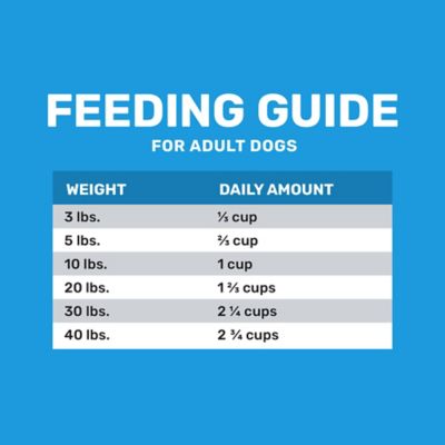 Image showing 5 th 4health with Wholesome Grains Adult Small Breed Formula Chicken Recipe Dry Dog Food