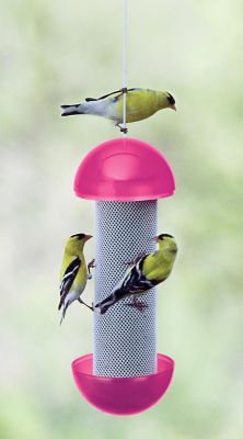 Image showing  0.75 lb. Have-A-Ball Finch Bird Feeder