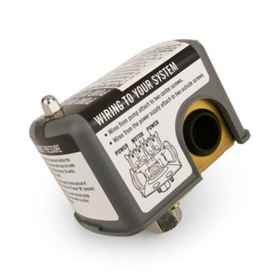 Image showing  Well System Pressure Switch, 20/40 PSI