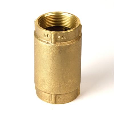 Water Source Brass Check Valve, 1-1/2 in.