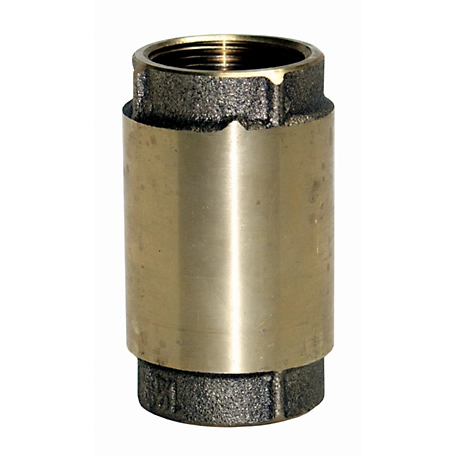 Water Source Brass Check Valve, 1-1/2 in.