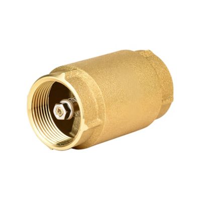 Water Source Brass Check Valve, 1-1/4 in.