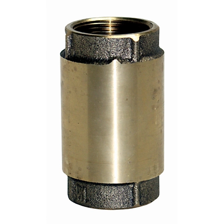 Water Source Brass Check Valve, 1-1/4 in.