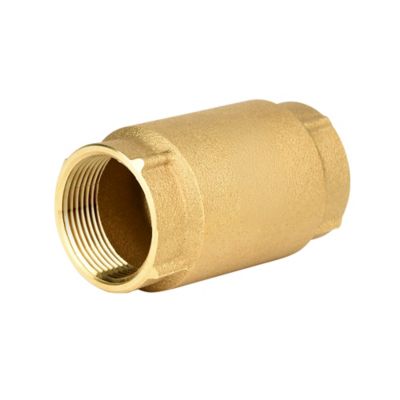 Image showing  Brass Check Valve, 1-1/4 in.