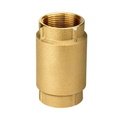 Image showing  Brass Check Valve, 1-1/4 in.