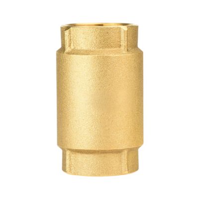 Image showing  Brass Check Valve, 1-1/4 in.