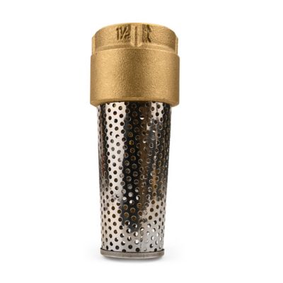 Water Source Brass Foot Valve, 1-1/2 in., TFV150NL