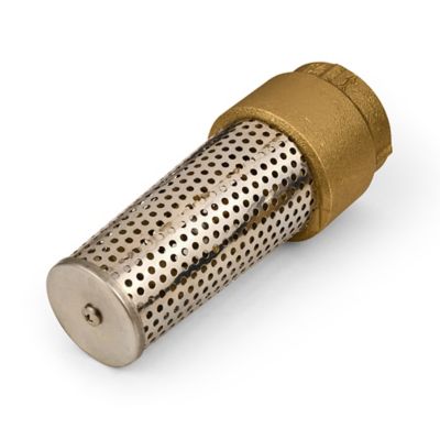 Image showing  Brass Foot Valve, 1-1/2 in.