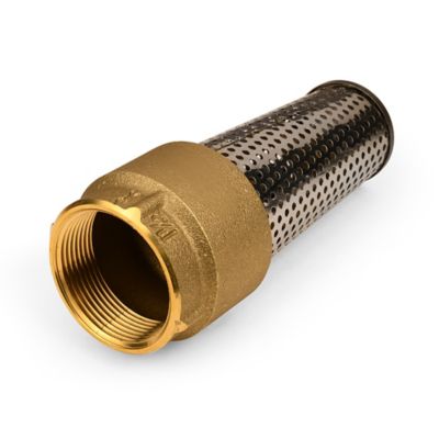 Image showing  Brass Foot Valve, 1-1/2 in.