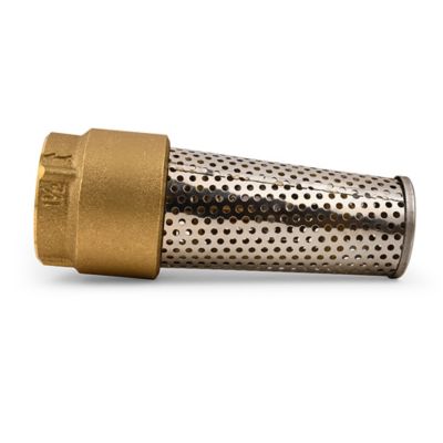 Image showing  Brass Foot Valve, 1-1/2 in.