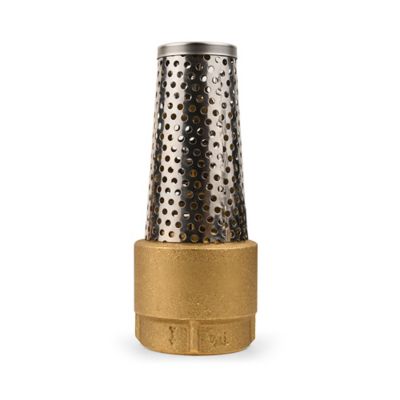 Image showing  Brass Foot Valve, 1-1/4 in.