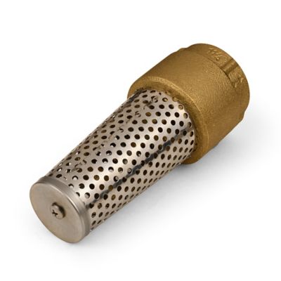 Image showing  Brass Foot Valve, 1-1/4 in.