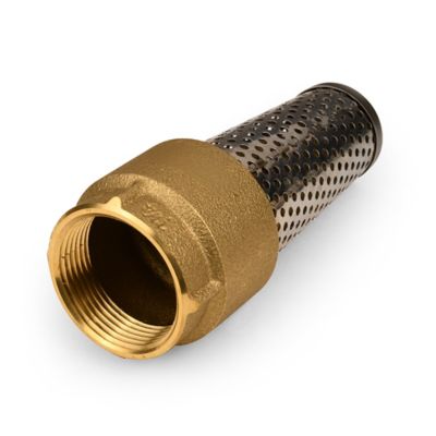 Image showing  Brass Foot Valve, 1-1/4 in.