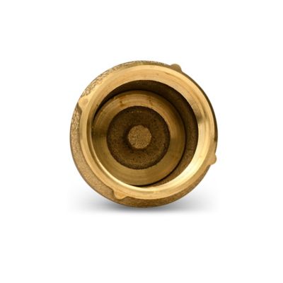 Image showing 6 th Water Source Brass Foot Valve, 1-1/4 in.