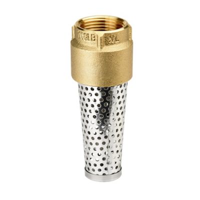 Water Source Brass Foot Valve, 1 in., TFV100NL