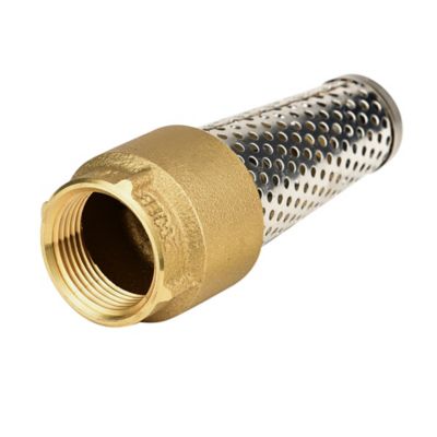 Image showing  Brass Foot Valve, 1 in.