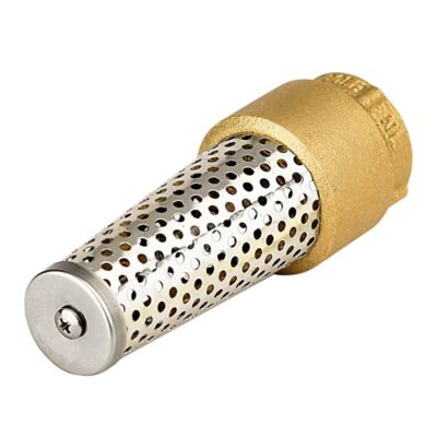 Image showing  Brass Foot Valve, 1 in.