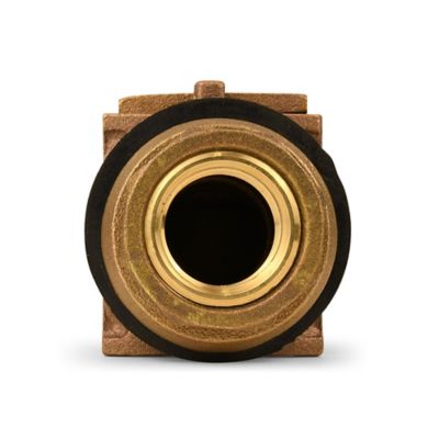 Image showing  Brass Pitless Adapter, 1 in.