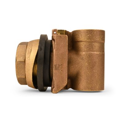 Image showing  Brass Pitless Adapter, 1 in.