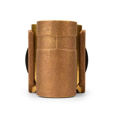 Image showing  Brass Pitless Adapter, 1 in.