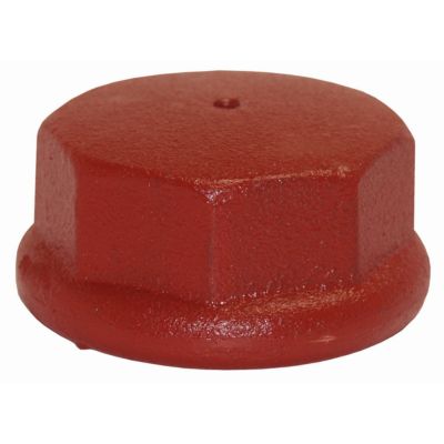 Water Source Well Point Drive Cap, 1-1/4 in.