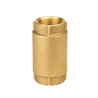 Water Source Brass Check Valve, 1 in.