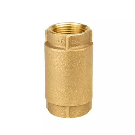 Brass check valve for water source 1 in. Pump Parts & Accessories