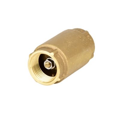 Image showing  Brass Check Valve, 1 in.