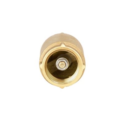 Image showing  Brass Check Valve, 1 in.